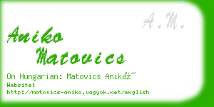 aniko matovics business card